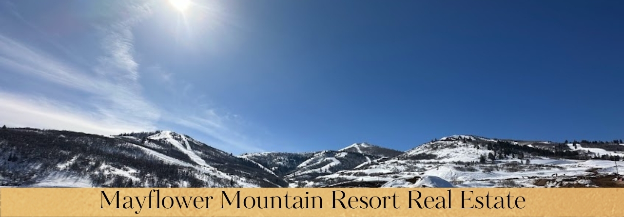 Mayflower Mountain Resort Real Estate Realtor
